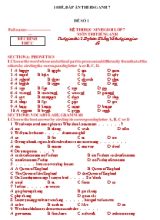 10 Đề thi học sinh giỏi môn Tiếng Anh Lớp 7 (Có đáp án)